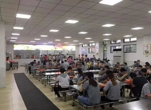 食堂飯菜與會(huì)議服務(wù) 留住員工的味蕾與歸屬感