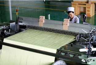 碳纖維布 預(yù)浸料 芳綸纖維編織布 熱塑纖維編織布等產(chǎn)品特點(diǎn)